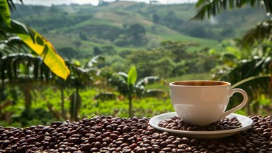 Producción de café
