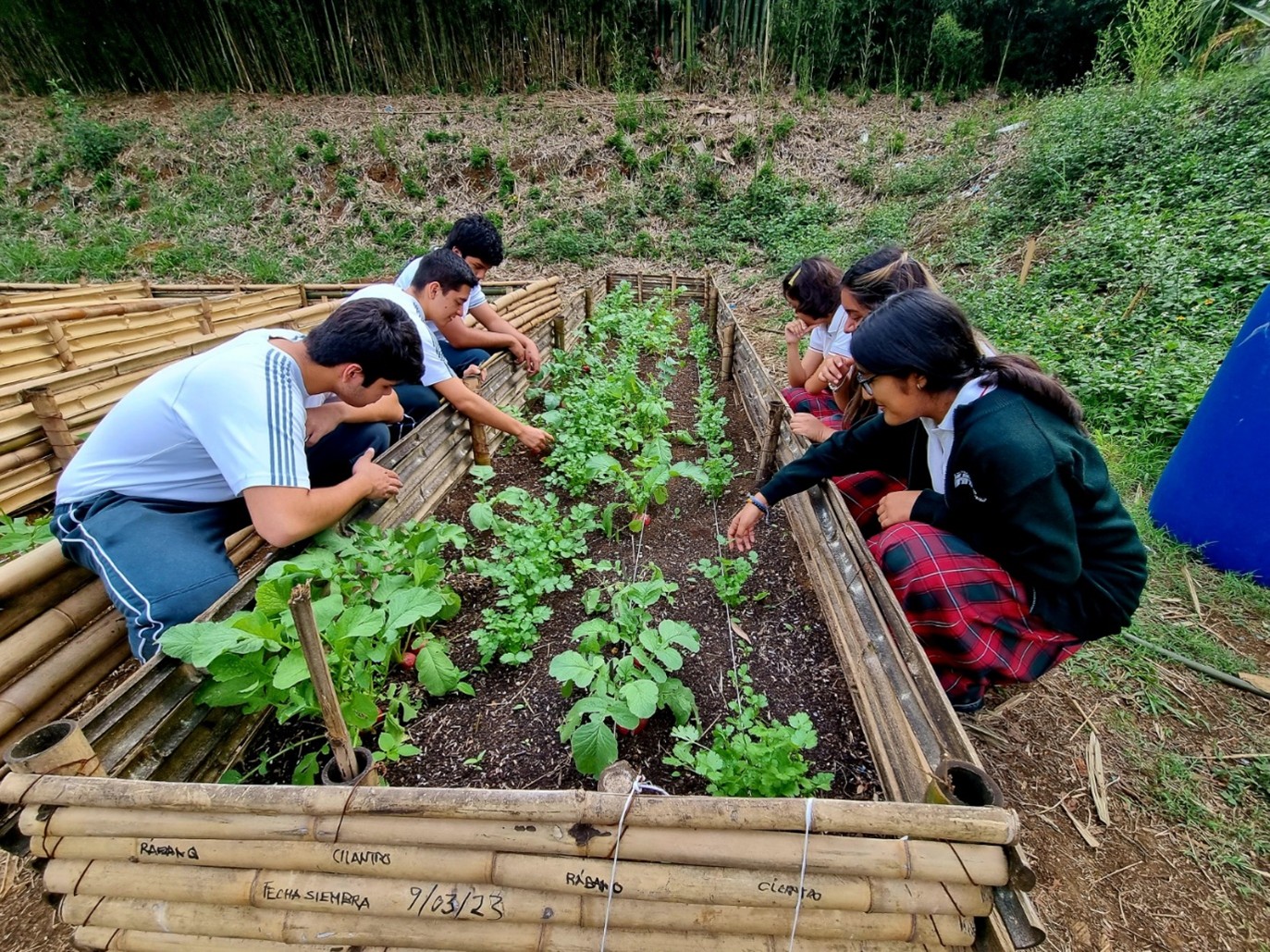 Escuelas ecológicas